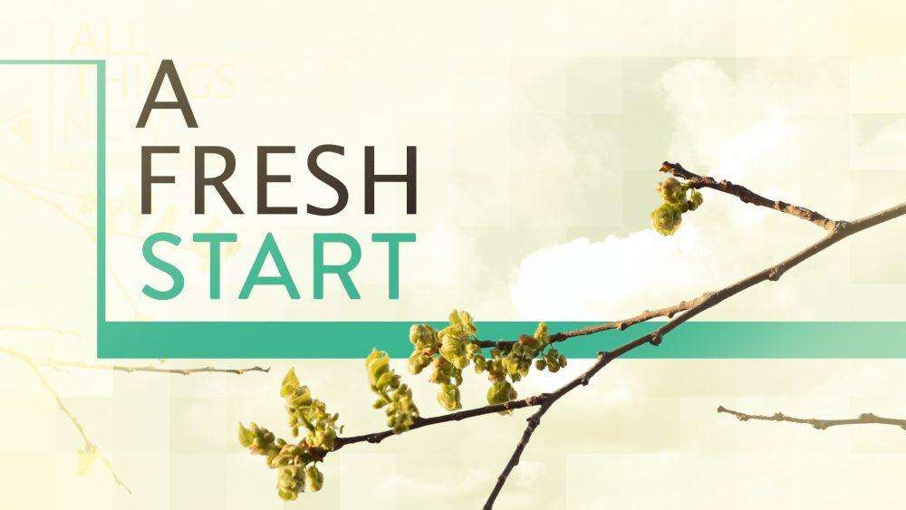 A Fresh Start